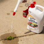 Menards Rebate Form For Weed And Feed